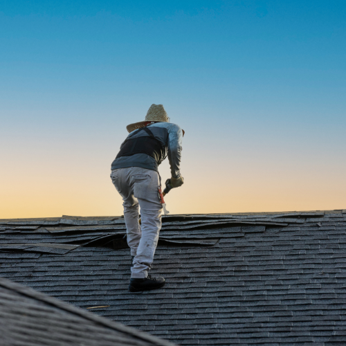 Professional Inspections for Your Roof